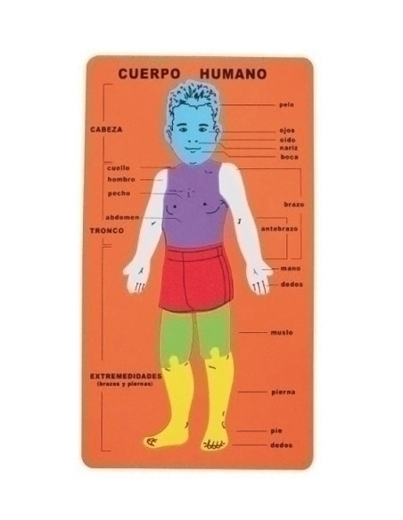 GOMA EVA FIXO KIDS PUZLE 20x32 cm CUERPO HUMANO