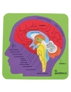 GOMA EVA FIXO KIDS PUZLE 212x215 cm SISTEMA CEREBRAL