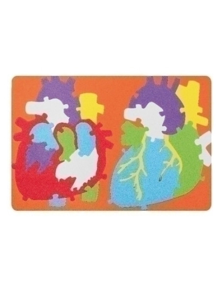 GOMA EVA FIXO KIDS PUZLE 23x32 cm SISTEMA CARDIACO
