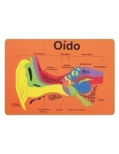 GOMA EVA FIXO KIDS PUZLE 26x36 cm SISTEMA AUDITIVO