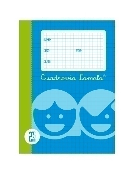 LAMELA RECAMBIO 4 APAISADO 100h CUADROVIA 8 mm