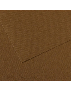 LAMINA CANSON MI-TEINTES 50x65 cm 160g PAQUETE 10h 501 MARRON OSCURO