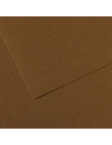 LAMINA CANSON MI-TEINTES 50x65 cm 160g PAQUETE 10h 501 MARRON OSCURO
