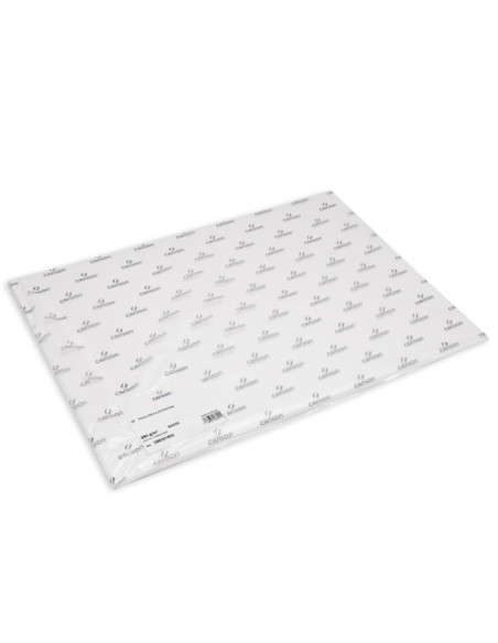 LAMINA GUARRO CANSON DIBUJO ILLUSTRATION 250g 50X65 cm
