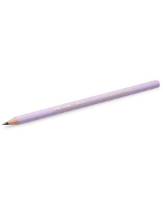 LAPIZ de GRAFITO BIC EVOLUTION PASTEL