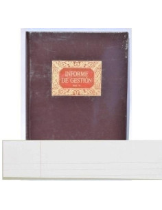 LIBRO CONTABILIDAD F-74-INFORME DE GESTION
