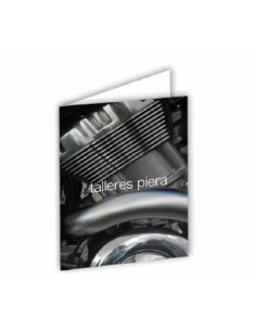 PAPEL YOSAN CARTULINA GRAFICA 230gr CARPETAS DE HENDIDO 32x45 1 unidad por hoja