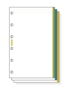 RECAMBIO AGENDA FINOCAM C245 CLASSIC 602 LISO 45h BANDA COLOR