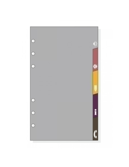 RECAMBIO AGENDA FINOCAM C963 CLASSIC 609 94x171 5 GUIAS PLASTICAS