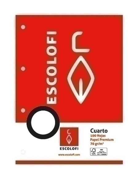 RECAMBIO ESCOLOFI 4 100h 70gr 4 TALADROS CUADRIC4x4 CMARGEN CABEZA Y PIE