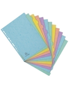 SEPARADORES EXACOMPTA AQUAREL CARTULINA LUSTRADA A4 400g  12 pestañas 17 taladros