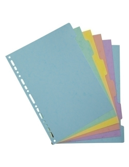 SEPARADORES EXACOMPTA AQUAREL CARTULINA LUSTRADA A4 400g  6 pestañas 17 taladros