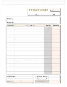 TALONARIO SALARIOS HDSA DUPLICADO LOAN
