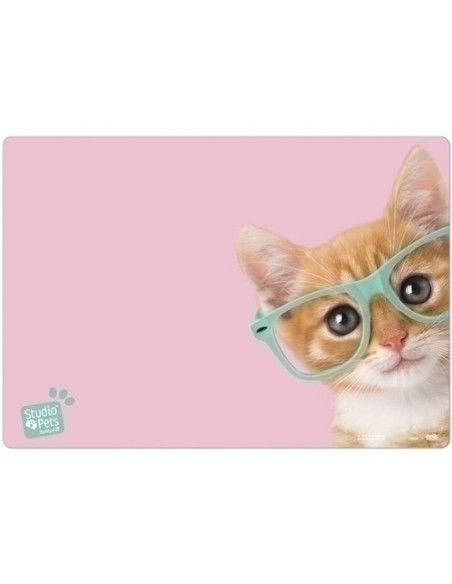 VADE SOBREMESA ERIK ESCOLAR 35x49 STUDIO PETS CAT  CAMERA