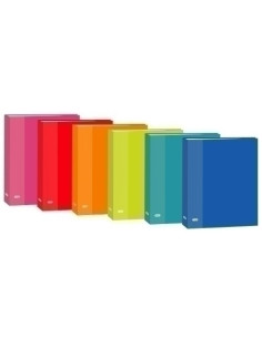 CARPETA de ANILLAS ELBA CARTON FORRADO COLOR 4 4 an20mm 6 colsurt 13100620