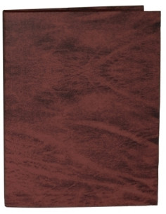 CARPETA de ANILLAS MARIOLA CARTON FORRADO SC F 2 anMIXTAS 25mm CUERO