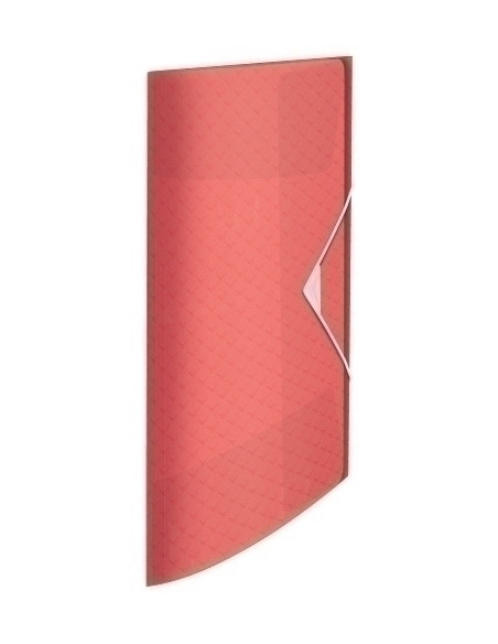 CARPETA de GOMAS y SOLAPAS ESSELTE COLOUR BREEZE PP A4 CORAL