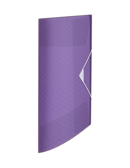 CARPETA de GOMAS y SOLAPAS ESSELTE COLOUR BREEZE PP A4 MALVA