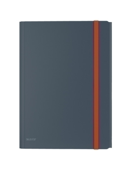CARPETA de GOMAS y SOLAPAS LEITZ COSY PP A4 GRIS