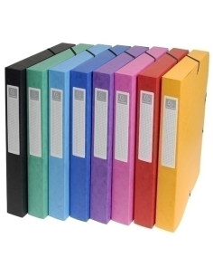 CARPETA de PROYECTOS EXACOMPTA EXABOX CARTULINA LUSTRADA NATURE FUTURE A4 GOMAS  25 cm SURTIDO 8 col