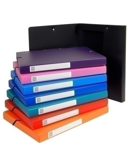 CARPETA de PROYECTOS EXACOMPTA EXABOX PP LISO OPACO A4 GOMAS  25 cm SURTIDO 8 col