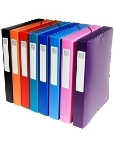 CARPETA de PROYECTOS EXACOMPTA EXABOX PP LISO OPACO A4 GOMAS  4 cm SURTIDO 8 col