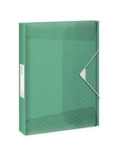 CARPETA de PROYECTOS ESSELTE COLOUR BREEZE PP A4 GOMAS 25 cm VERDE