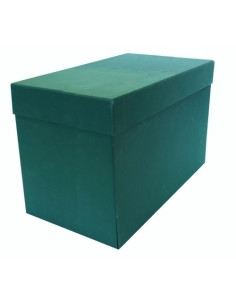 CAJA de TRANSFERENCIAS ELBA GELTEX F 21 cm VERDE 3230202