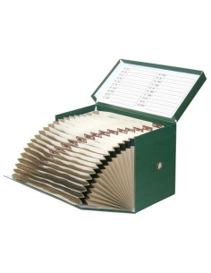 CAJA de TRANSFERENCIAS ELBA GELTEX F con FUELLE 21 cm VERDE 16 DPTOS4292102