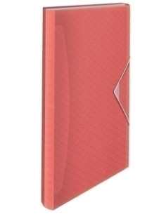 CLASIFICADOR ACORDEON ESSELTE PP COLOUR BREEZE A4 6 SEPARAD CORAL