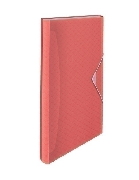 CLASIFICADOR ACORDEON ESSELTE PP COLOUR BREEZE A4 6 SEPARAD CORAL
