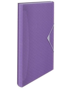 CLASIFICADOR ACORDEON ESSELTE PP COLOUR BREEZE A4 6 SEPARAD MALVA