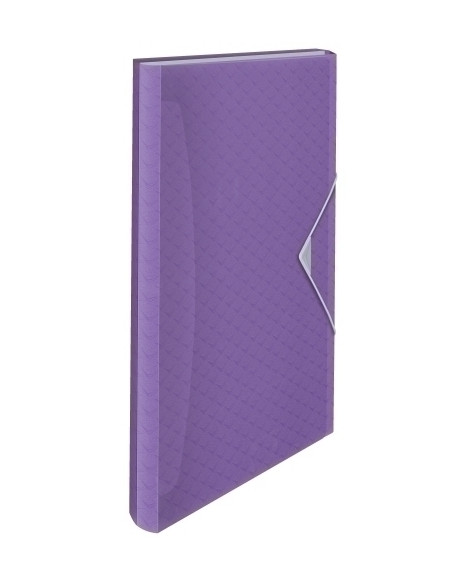 CLASIFICADOR ACORDEON ESSELTE PP COLOUR BREEZE A4 6 SEPARAD MALVA