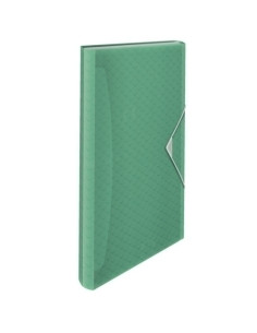 CLASIFICADOR ACORDEON ESSELTE PP COLOUR BREEZE A4 6 SEPARAD VERDE