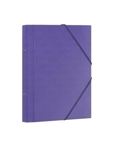CARPETA CLASIFICADORA DOHE CARTON PLASTIF F 12 DPTOSGOMAS y SOLAPA MORADO