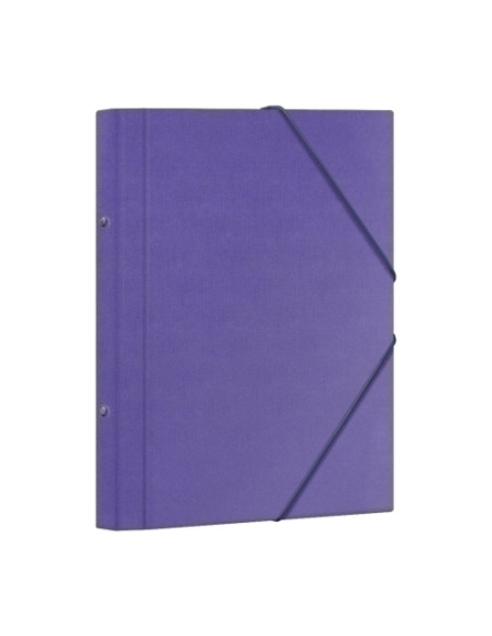CARPETA CLASIFICADORA DOHE CARTON PLASTIF F 12 DPTOSGOMAS y SOLAPA MORADO