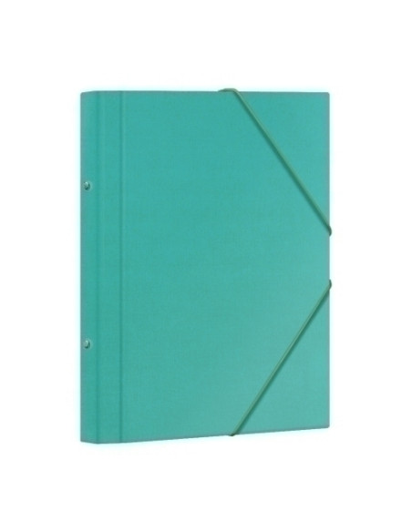 CARPETA CLASIFICADORA DOHE CARTON PLASTIF F 12 DPTOSGOMAS y SOLAPA VERDE CLARO
