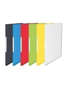 CARPETA FUNDAS TARIFARIO ESSELTE PP FLEXIBLE A4 100 F COL SURT