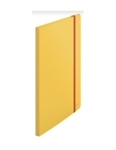 CARPETA FUNDAS TARIFARIO LEITZ COSY PLUS PP FLEXIBLE A4 20 F AMARILLO