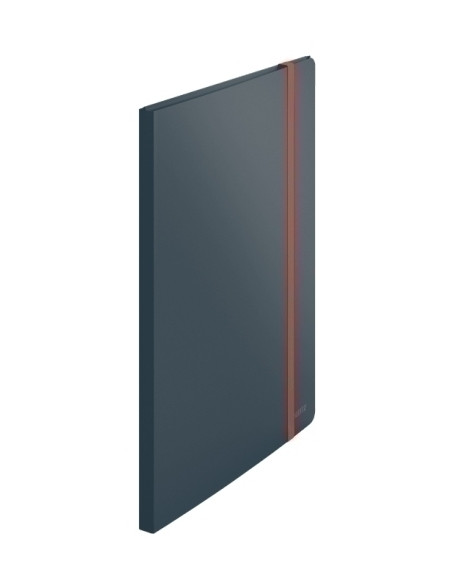 CARPETA FUNDAS TARIFARIO LEITZ COSY PLUS PP FLEXIBLE A4 20 F GRIS