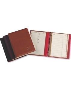 LISTIN TELEFONICO 4 anillas PARDO 300 BURDEOS