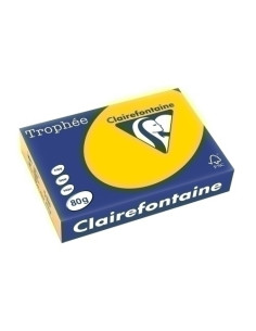 PAPEL de COLOR A4 CLAIREFONTAINE TROPHEE 80g 500h PASTEL BOTON DE ORO