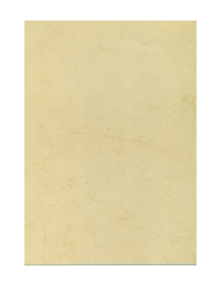 PAPEL HABANA A4 APLI  90g 100h