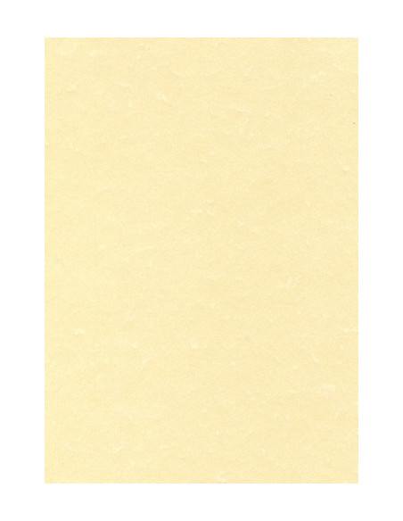PAPEL PERGAMINO A4 APLI 95g 100h CHAMPAN