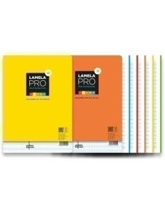 LAMELA RECAMBIO A4 100h CUADROVIA 4mm PRO MULTITAREAS 5 COLORES SURTIDOS 90GR