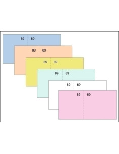 TALONARIO CAJA 6 DE 4 NUMERADOS LOAN ROSA