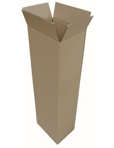 CAJA DE EMBALAR OLEF ITVA AJUSTABLE L 350 x An 250 x Al1120mm