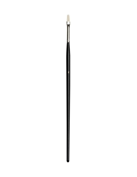 PINCEL JOVI  PLANO N 2