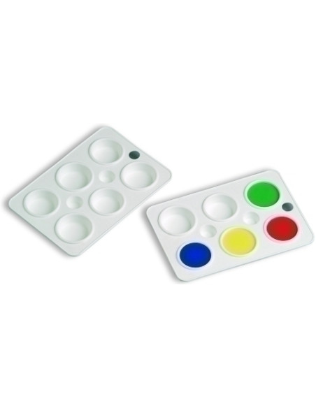 PALETA FAIBO DE PLASTICO CON 6 DEPARTAMENTOS