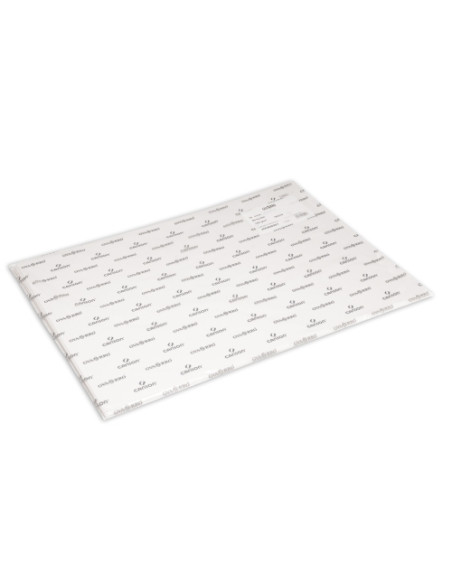 LAMINA GUARRO-CANSON DIBUJO BASIK 150g 50x70 cm